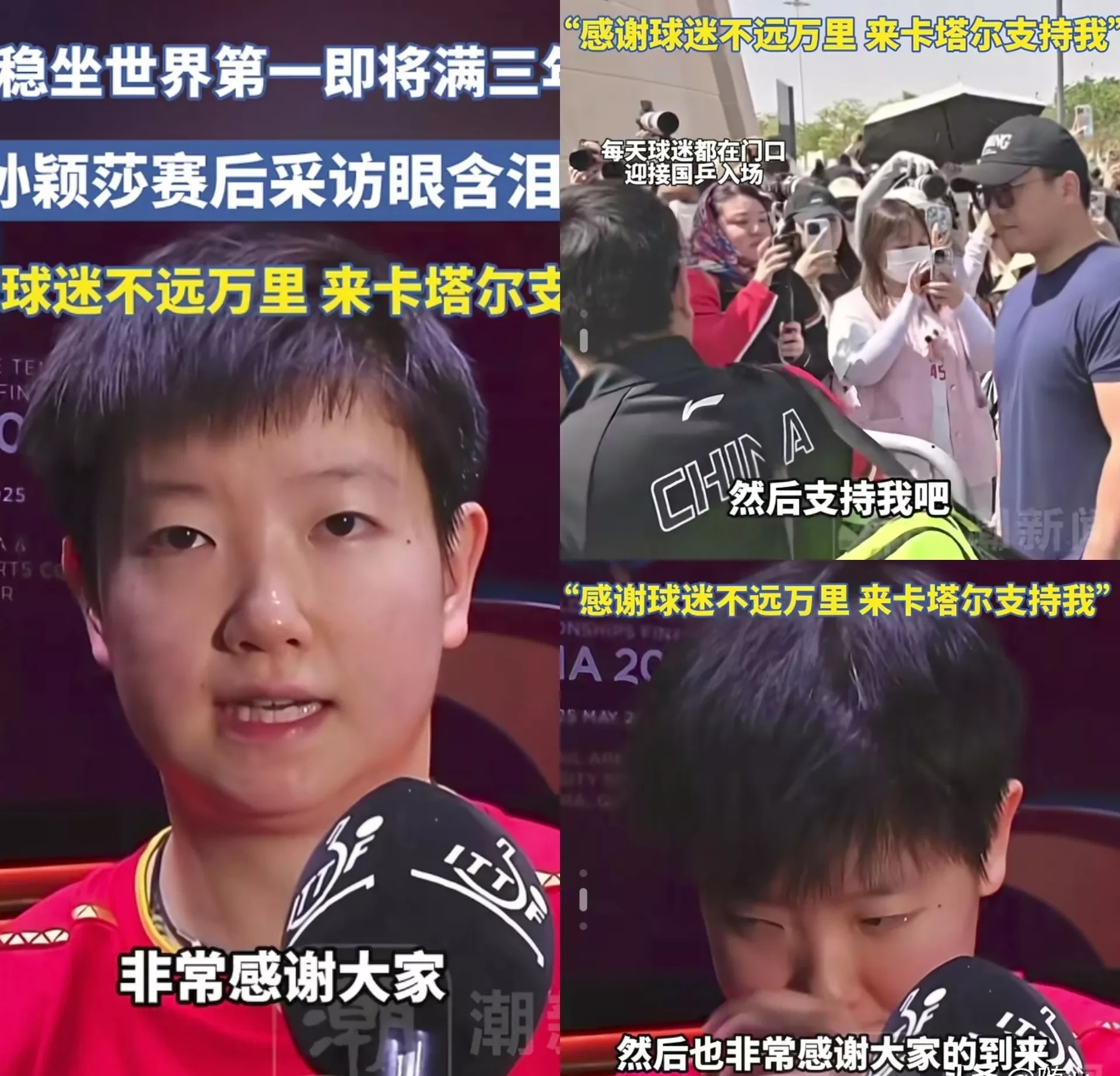 包含战术调整首场状态出色，德国队观众沸腾！，莎拉波娃重返赛场比赛高潮迭起的词条